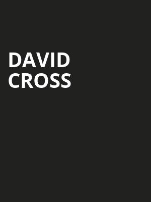 David Cross Poster