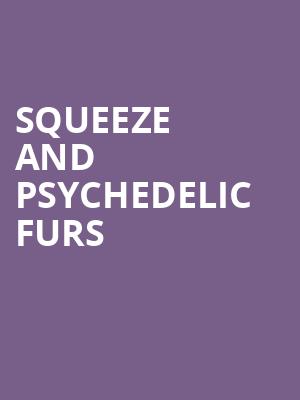 Squeeze and Psychedelic Furs, Brown County Music Center, Bloomington
