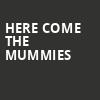 Here Come The Mummies, Bluebird Nightclub, Bloomington